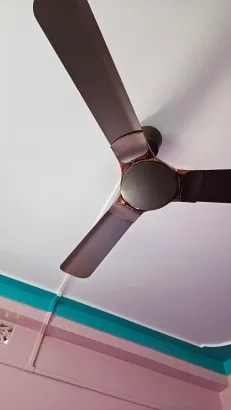 Reviews with Images - image 11