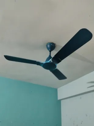 Reviews with Images - image 6