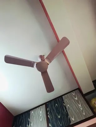 Reviews with Images - image 3