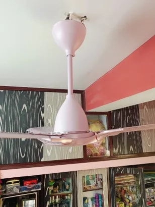 Reviews with Images - image 4