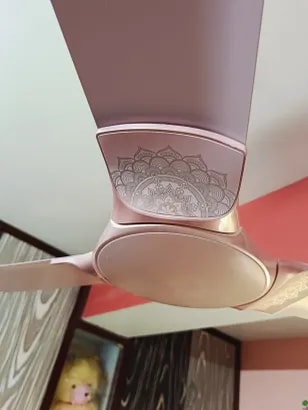 Reviews with Images - image 5