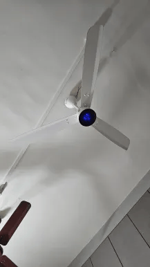 Reviews with Images - image 4