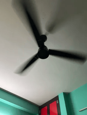 Reviews with Images - image 12