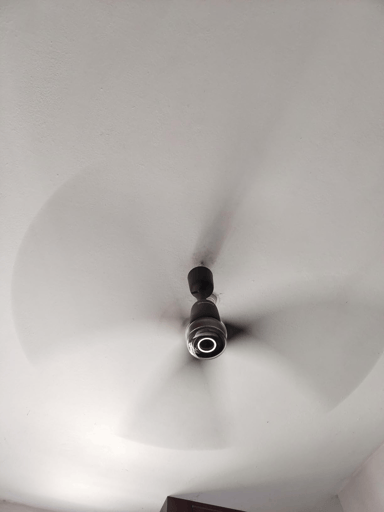 Reviews with Images - image 13