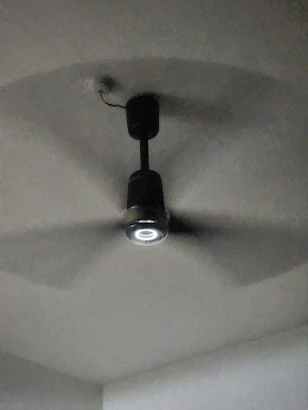 Reviews with Images - image 18