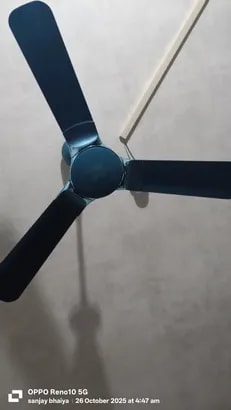 Reviews with Images - image 13