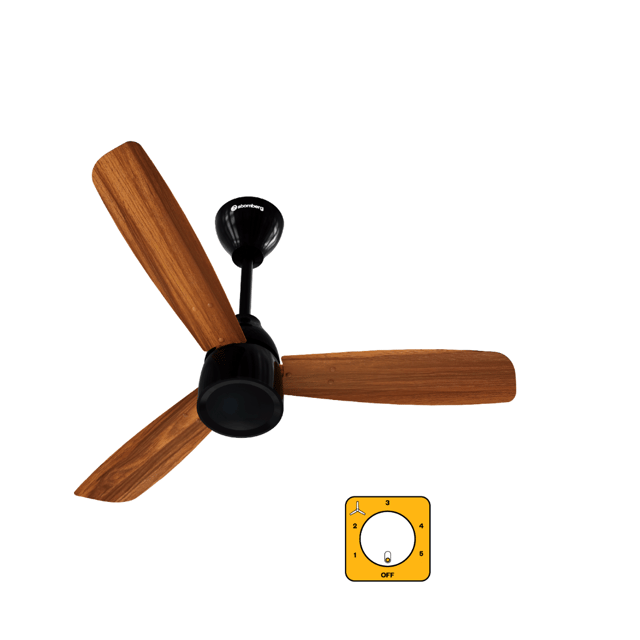 Honey Maplewood and Gloss Black