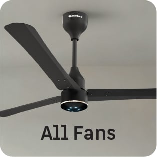 All Fans